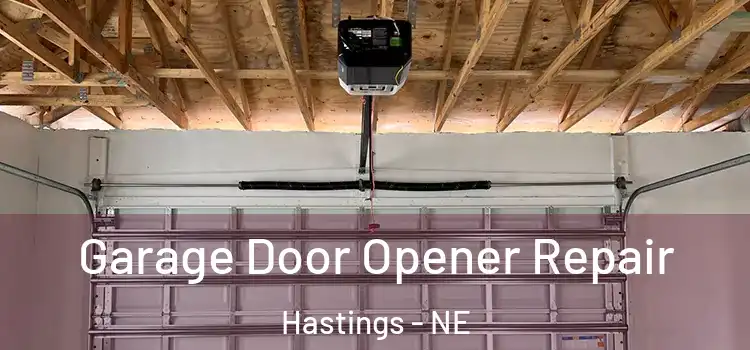  Garage Door Opener Repair Hastings - NE