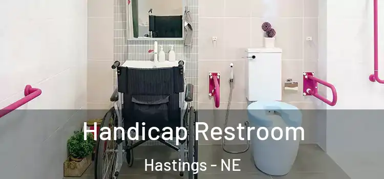  Handicap Restroom Hastings - NE