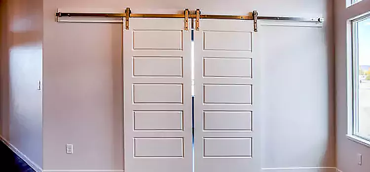 Glass Barn Door with Installation Hardware Kit Hastings